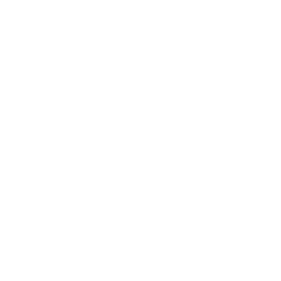 Rental